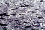 Wet, Liquid, Water, Ripples, Wavelets, NWEV09P15_08