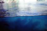 Underwater, Wet, Liquid, Water, NWEV10P01_03