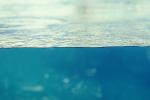 Underwater, Wet, Liquid, Water, NWEV10P01_04