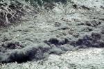 Waves, Foam, Turbid, Wet, Liquid, Water, NWEV10P04_09