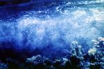 Underwater, Turbid, Wet, Liquid, Water, bubbles, NWEV10P04_10
