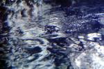 Wet, Liquid, Water, Ripples, Wavelets, NWEV10P05_15