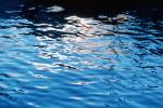 Water Reflection, Wet, Liquid, Water, NWEV10P09_17