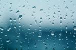 Dew Drops, Wet, Liquid, Water, NWEV10P10_01