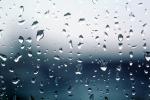Dew Drops, Wet, Liquid, Water