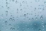Dew Drops, Wet, Liquid, Water, NWEV10P10_05