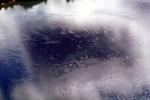 Wet, Liquid, Water, ripples, Wavelets, NWEV10P11_05
