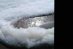 Foam, Sand, Wet, Liquid, Water, NWEV10P12_08