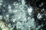bubbles frozen in ice, Cold, Winter, Wintery, Frozen, Freezing, NWEV10P12_18