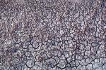 Dried Earth, Cracks, Arid, Drought, Dry, Dessicated, Parched, Wet, Liquid, Water, Craquelure, NWEV10P13_04