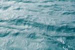 Ocean, Wave, Water, Pacific Ocean, Wet, Liquid, Seawater, Sea, NWEV10P14_19