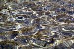 Water, Liquid, Wet, ripples, Wavelets, NWEV10P15_19B