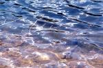 Water, Liquid, Wet, ripples, Wavelets, NWEV11P01_11