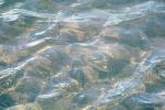 Water, Liquid, Wet, ripples, Wavelets