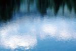 Water Reflection, Wet, Liquid, Water, NWEV11P02_03