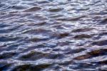 Water, Liquid, Wet, ripples, waveletts, Wavelets, NWEV11P02_05