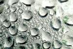 Dew Drops, Water, Liquid, Wet, NWEV11P04_06