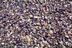 Rocks, Stone, Pebbles, Arid, Drought, Dry, Dessicated, Parched, NWEV11P07_05