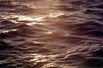 Water, Ocean, Waves, Wavelets, Pacific Ocean, Wet, Liquid, Seawater, Sea