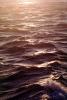 Water, Ocean, Waves, Wavelets, Pacific Ocean, Wet, Liquid, Seawater, Sea, NWEV11P07_12