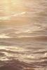 Water, Ocean, Waves, Wavelets, Pacific Ocean, Wet, Liquid, Seawater, Sea, NWEV11P07_14