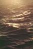 Water, Ocean, Waves, Wavelets, Pacific Ocean, Wet, Liquid, Seawater, Sea