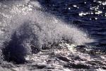 Water, Wave, Splash, Spray, Wet, Liquid, NWEV11P11_18