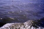 Ocean, Seascape, Water, Pacific Ocean, Wet, Liquid, Seawater, Sea, NWEV11P14_05