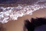 Wave, Wavelet, Sand, Foam, NWEV11P14_07