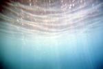 Underwater, Sun Streaks, Wet, Liquid, Water, NWEV11P15_01B