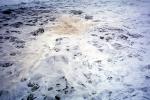 Stormy, Spray, Wave, Ocean, Pacific, Foam, Foamy, Water, Pacific Ocean, Wet, Liquid, Seawater, Sea, NWEV12P01_12