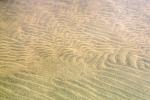 Sand, Water, ripples, Wet, Liquid, Wavelets, NWEV12P05_02