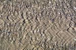 Water, Sand, Standing Waves, Wavelets, ripples, Wet, Liquid, NWEV12P06_03