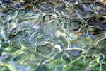 Water, Clear, Tropical, Wet, Liquid, ripples, wavelets, NWEV12P09_05