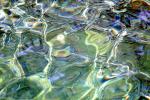 Water, Clear, Tropical, Wet, Liquid, ripples, wavelets, NWEV12P09_07