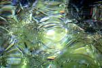 Water, Clear, Tropical, Wet, Liquid, ripples, wavelets