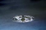 Water Drop, Concentric Rings, Droplet, Wet, Liquid Drip, Ripples, wave propagation, Wavelets, NWEV12P10_15B
