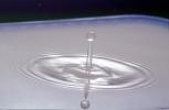 Water Drop, Concentric Rings, Droplet, Wet, Liquid Drip, Ripples, wave propagation, Wavelets, NWEV12P10_16