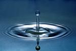 Water Drop, Concentric Rings, Droplet, Wet, Liquid Drip, Ripples, wave propagation, Wavelets, NWEV12P10_16B