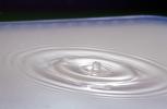 Water Drop, Concentric Rings, Droplet, Wet, Liquid Drip, Ripples, wave propagation, Wavelets, NWEV12P10_17