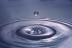 Water Drop, Concentric Rings, Droplet, Wet, Liquid Drip, Ripples, wave propagation, Wavelets, NWEV12P11_05