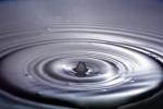 Water Drop, Concentric Rings, Droplet, Wet, Liquid Drip, Ripples, wave propagation, Wavelets, NWEV12P11_06