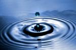 Water Drop, Concentric Rings, Droplet, Wet, Liquid Drip, Ripples, wave propagation, Wavelets, NWEV12P11_08