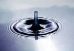 Water Drop, Concentric Rings, Droplet, Wet, Liquid Drip, Ripples, wave propagation, Wavelets, NWEV12P11_11