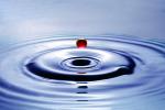 Water Drop, Concentric Rings, Droplet, Wet, Liquid Drip, Ripples, wave propagation, Wavelets, NWEV12P11_13B