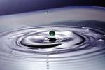 Water Drop, Concentric Rings, Droplet, Wet, Liquid Drip, Ripples, wave propagation, Wavelets, NWEV12P11_16