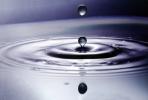 Water Drop, Concentric Rings, Droplet, Wet, Liquid Drip, Ripples, wave propagation, Wavelets, NWEV12P11_18