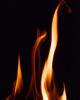purposful flame, NWFV01P01_18