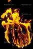 The World Ablaze, Burning Globe, Global Warming, NWFV01P06_01B.0145