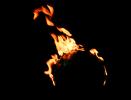 Burning Globe, Global Warming, flames, fire, NWFV01P06_10